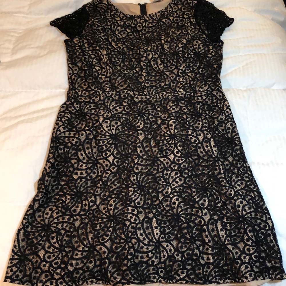 Women’s dress LOFT